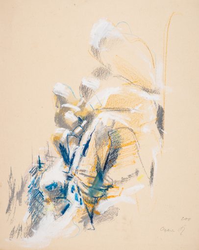 Hans Kinder